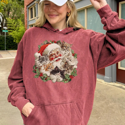 Santa Christmas Cat Sweater V2