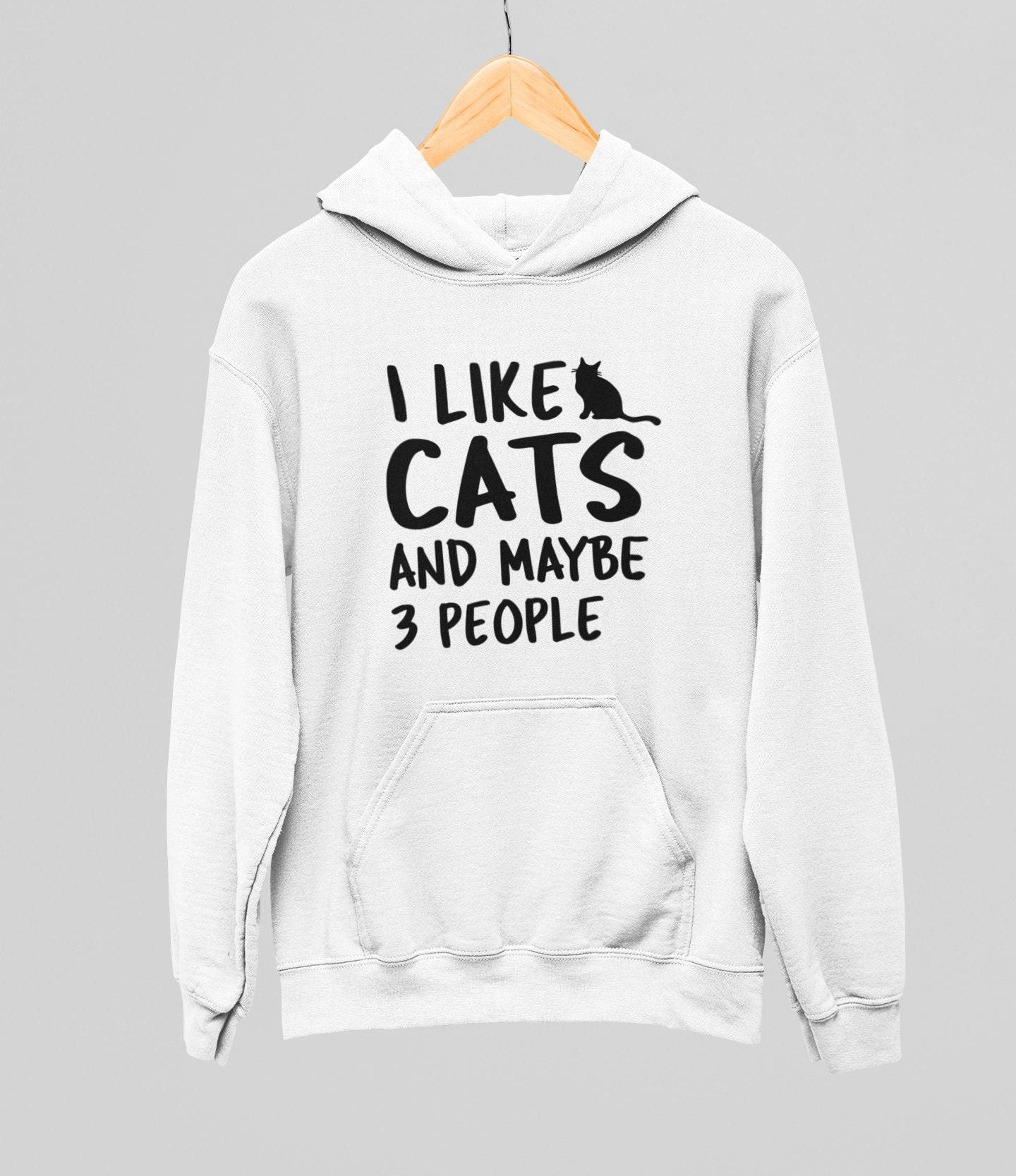 Funny Cat Lover Hoodie V12