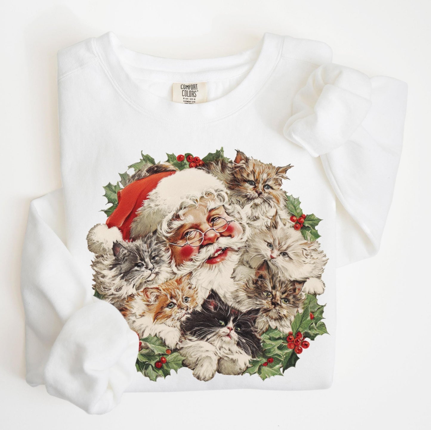 Santa Christmas Cat Sweater