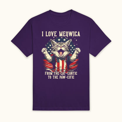 4th of July Cat T-Shirt
