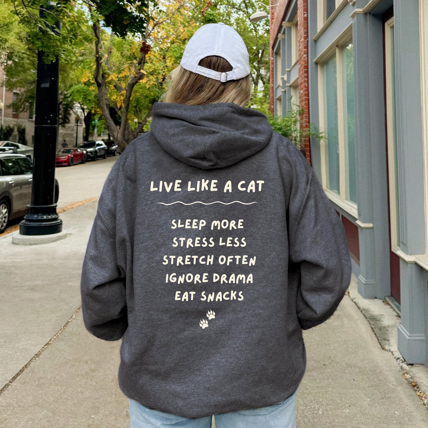 Live Like a Cat Hoodie