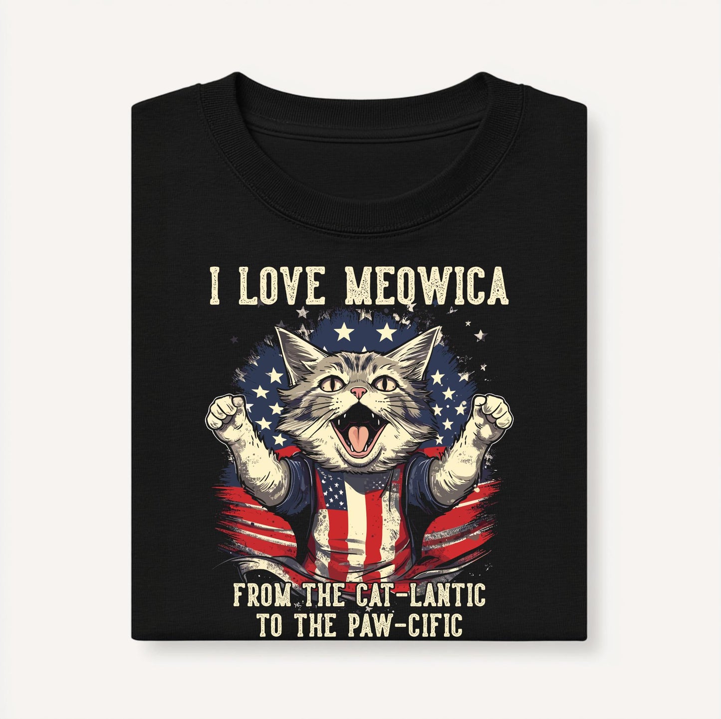 4th of July Cat T-Shirt