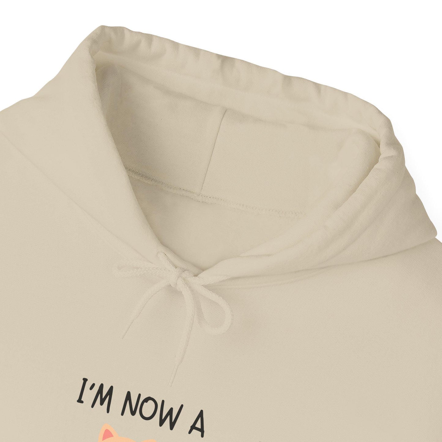 Cat Mom Hoodie 2