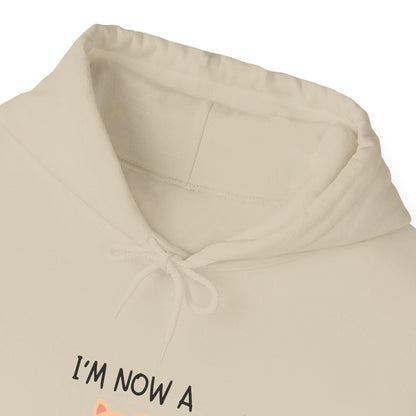 Cat Mom Hoodie 2
