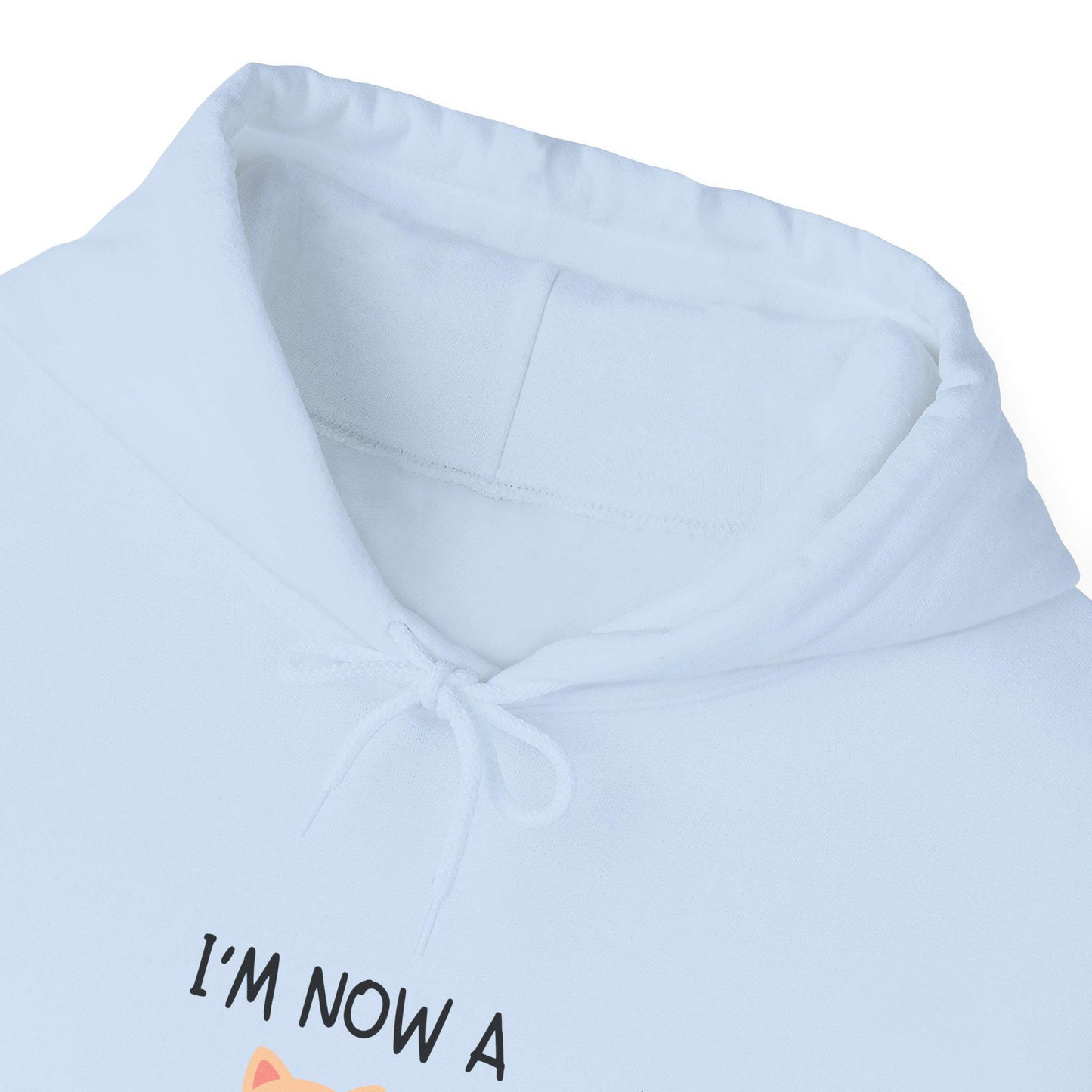 Cat Mom Hoodie 2