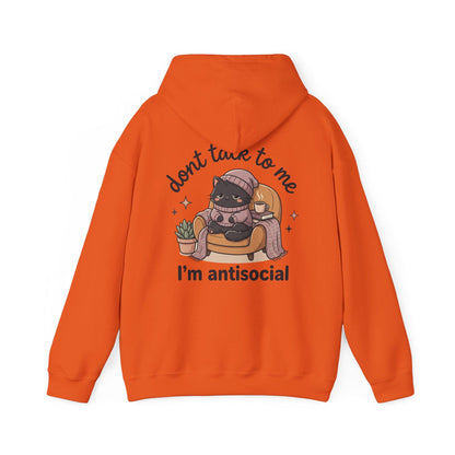 Funny Introvert Cat Hoodie