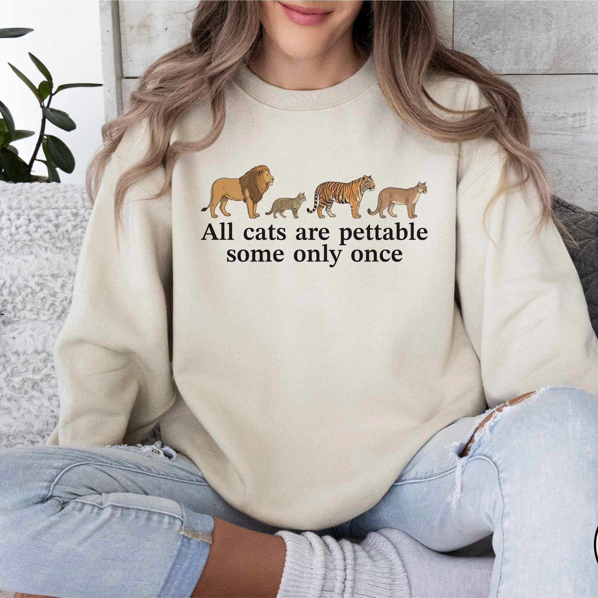 All Cats Are Pettable Sweater