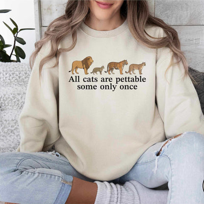 All Cats Are Pettable Sweater