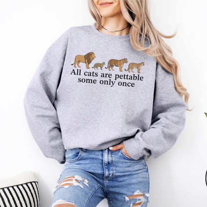All Cats Are Pettable Sweater